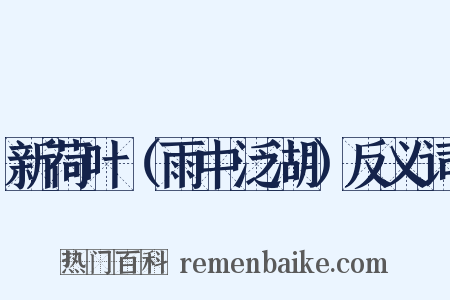 新荷叶（雨中泛湖）反义词是什么意思的图片